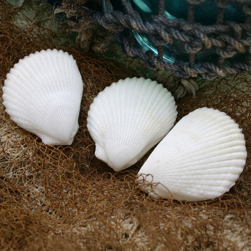 Lima lima white pairs