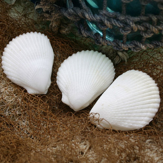 Lima lima white pairs