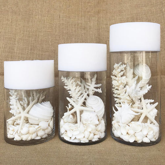 Glass coral and shell pack white, with mirror safety top suitable for candle