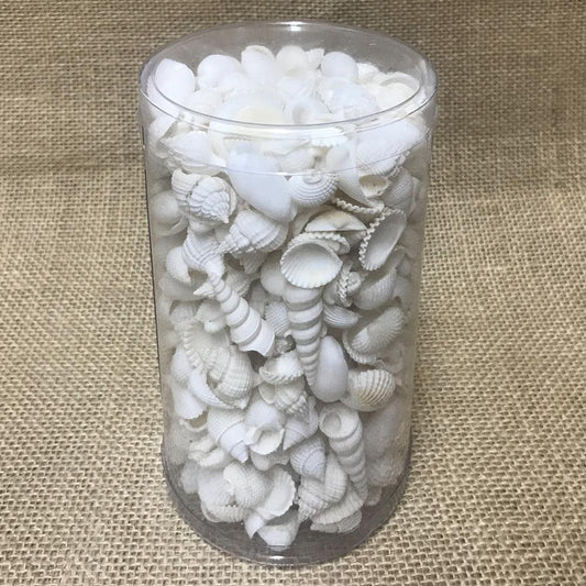 Shell cylinder tall - Premium shell mix white small (Pack of 2)