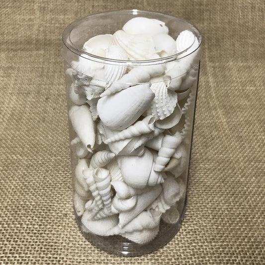 Shell cylinder tall - Premium shell mix white medium (Pack of 2)