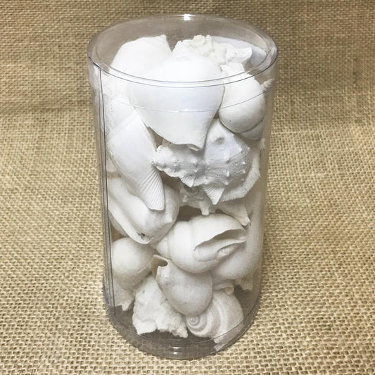Shell cylinder tall - Premium shell mix white large (Pack of 2)