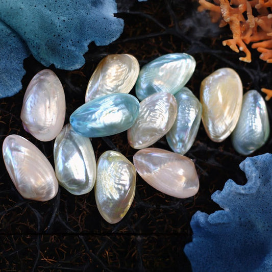 Mussel baby cream pearl rippled pastel dyed pair dyed