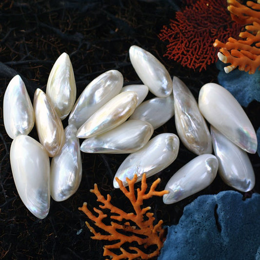 Mussel baby white pearl long pair