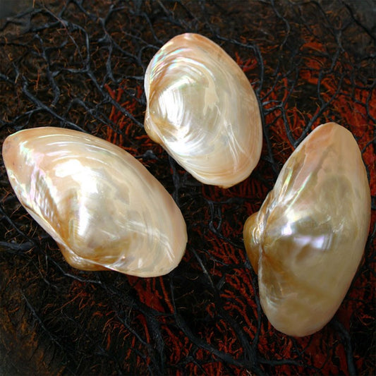 Philippine Macabebe pale gold pearled pair