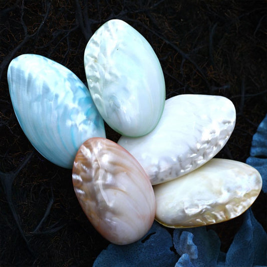 Mussel heavy pearl pastel dyed pair