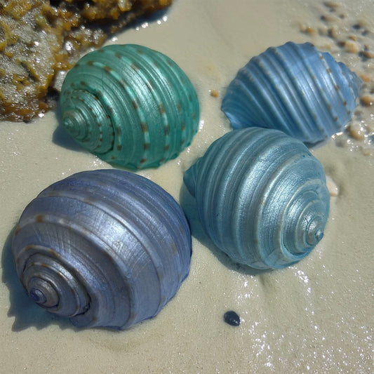 Tonna tesselata pearl dyed pastel blue, aqua, mint