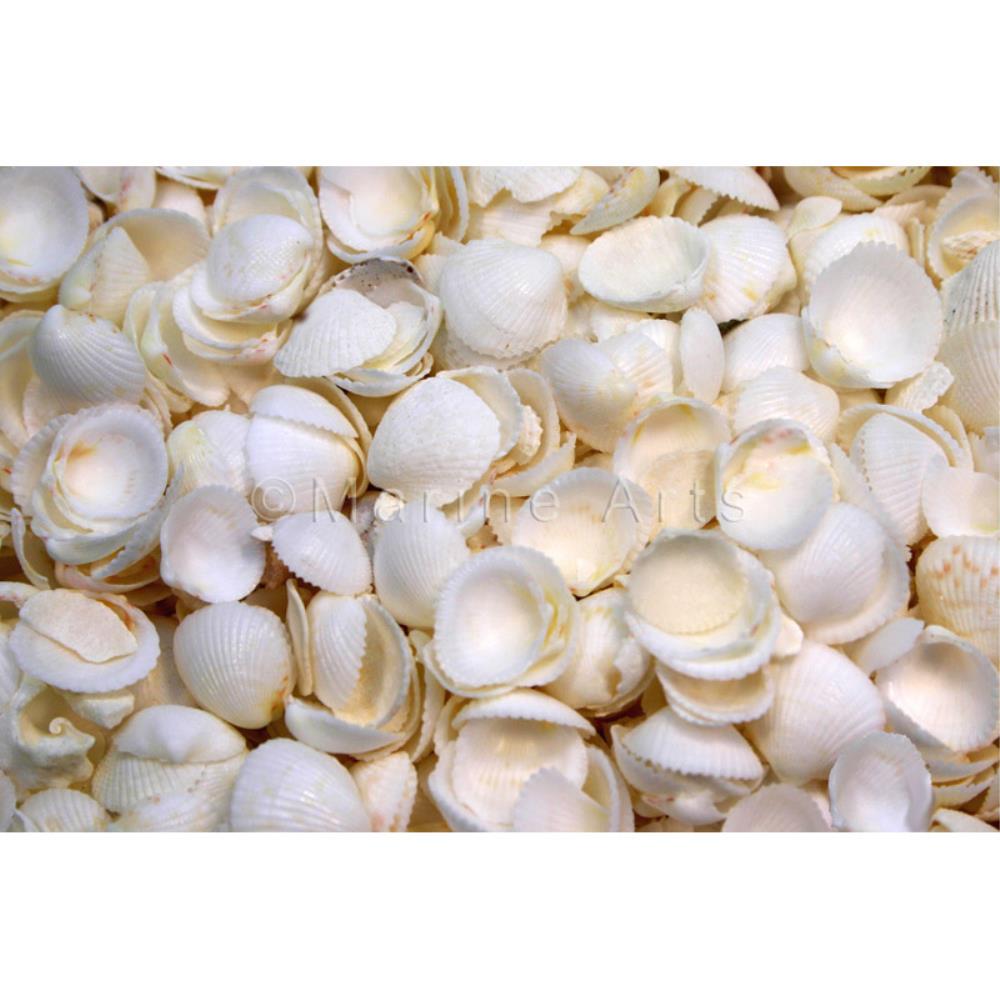 Cap shells small  (kg)