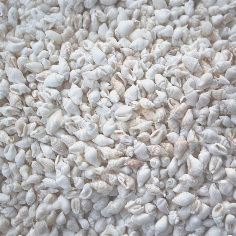 Nassa white (kg)