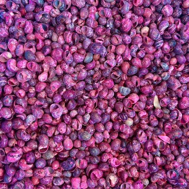 Neritinas smooth tiny pink tinted (kg)