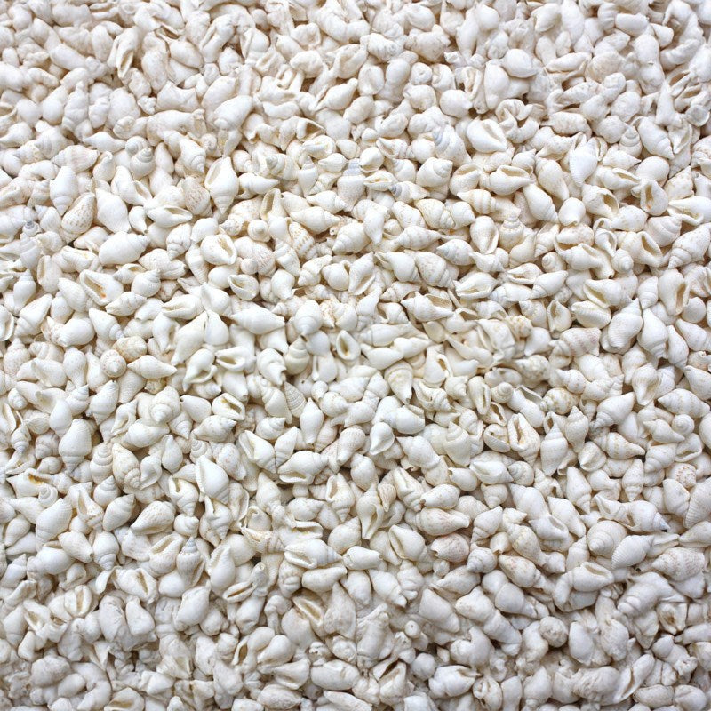 Pyrene versicolour white  (kg)