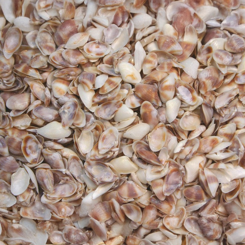 Sampaguitas white-mauve  (kg)