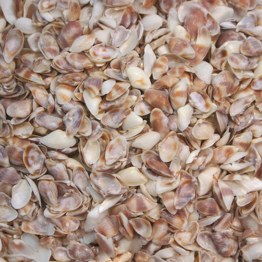 Sampaguitas white-mauve  (kg)