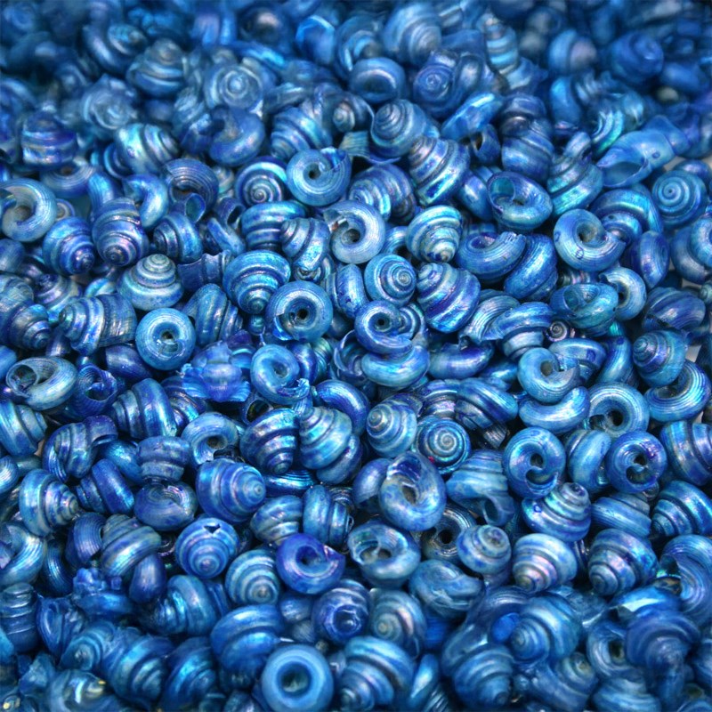 Turbo tiny pearled dyed blue (kg)