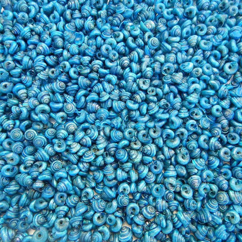 Turbo tiny pearled dyed electric blue (kg)