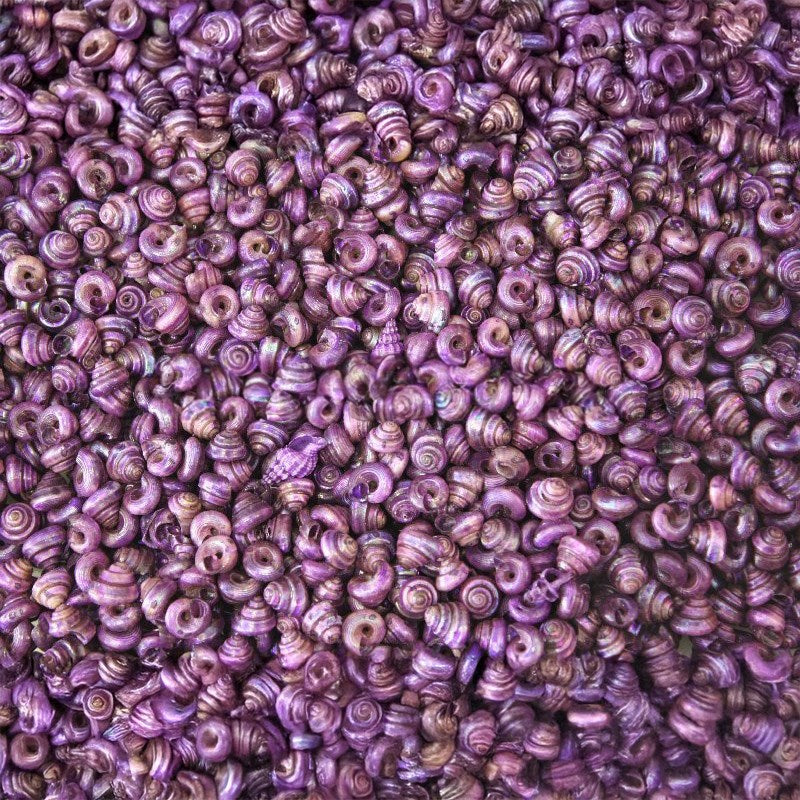 Turbo tiny pearled dyed purple (kg)