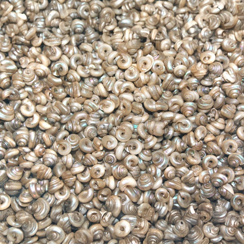Turbo tiny pearl silver (kg)