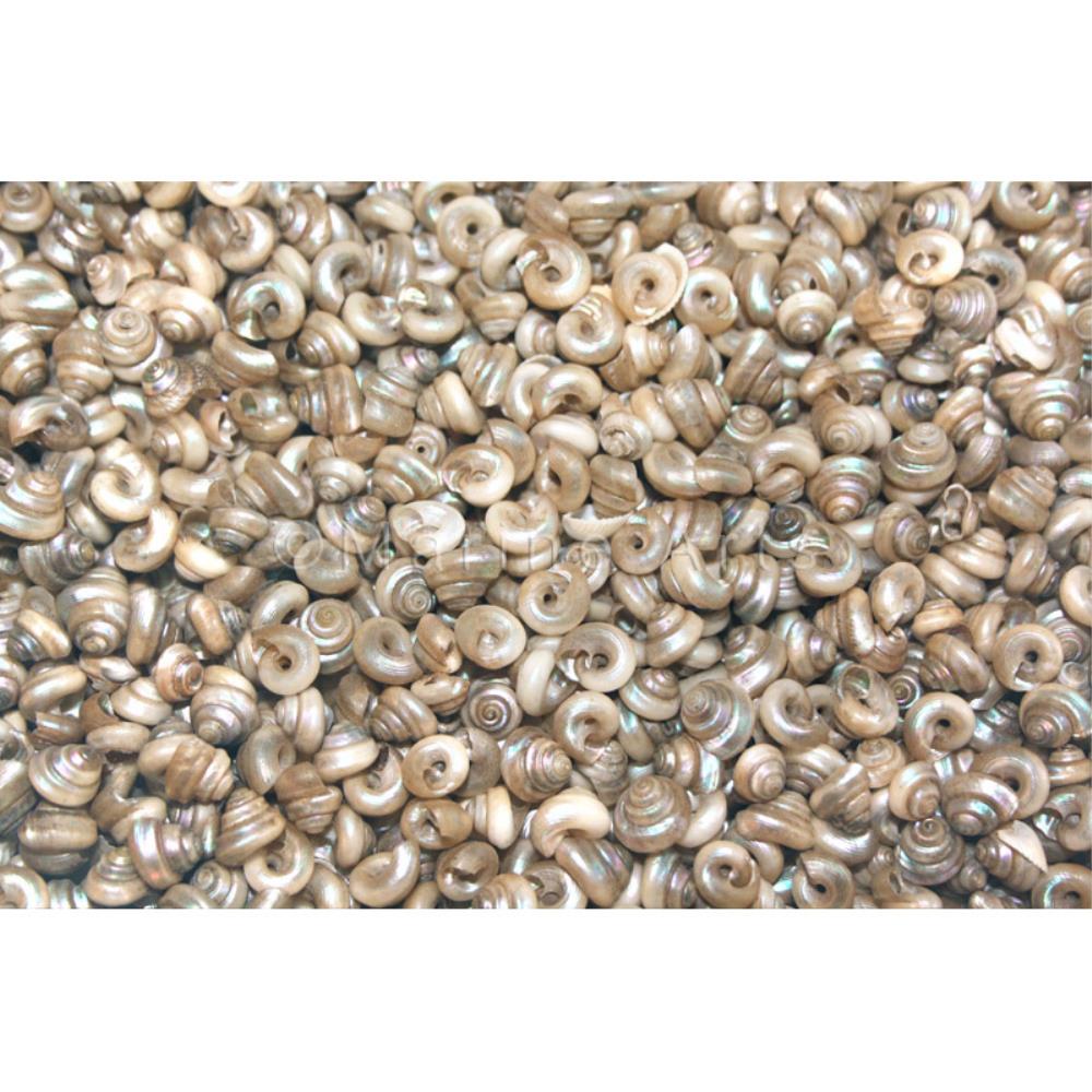 Turbo tiny pearl silver  (kg)