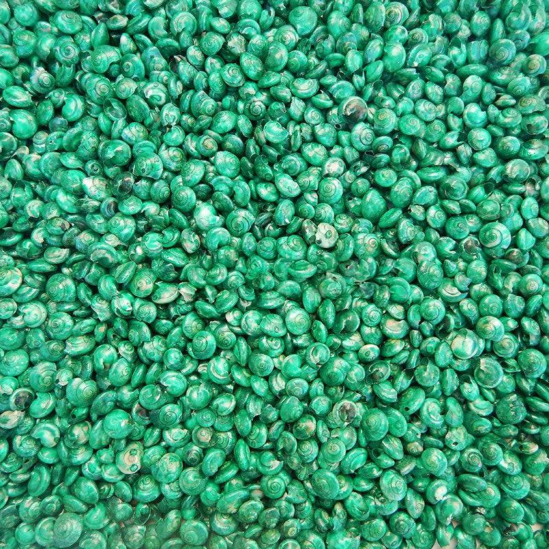 Umbonium dyed emerald green (kg)