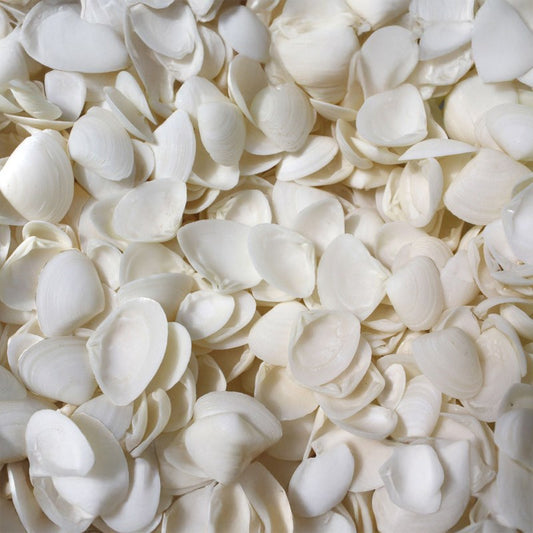 Caycay white large  (kg)