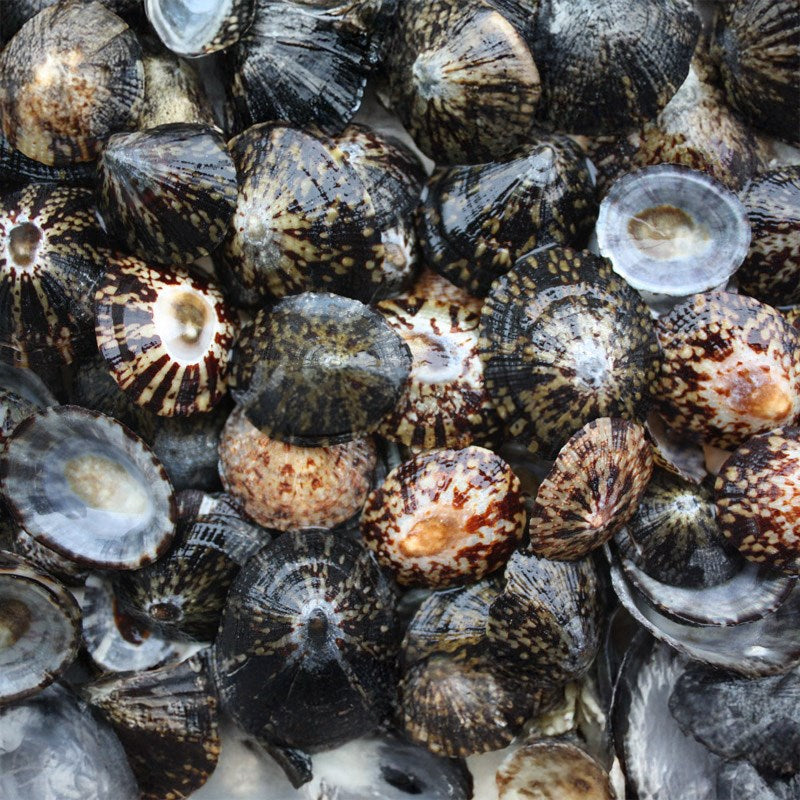 Black limpets  (kg)