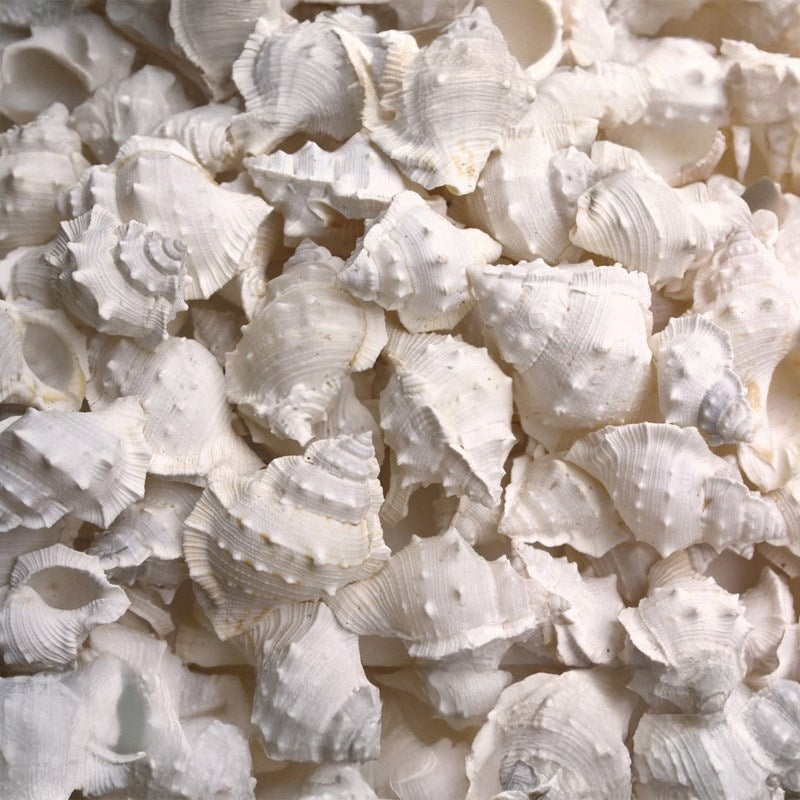 Bursa crumena white (kg)