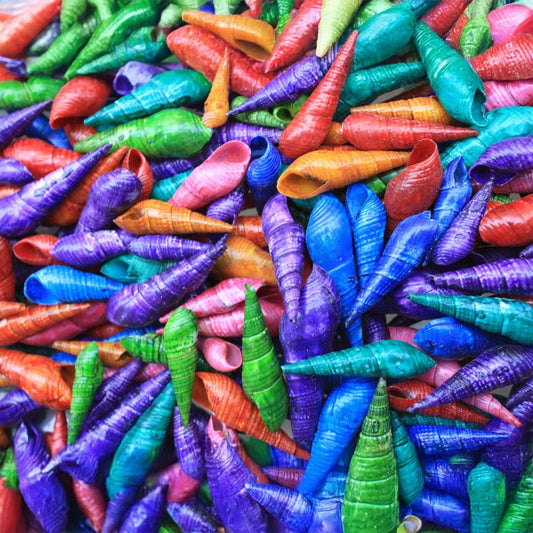 Faunus ater pearl dyed pastel blue, aqua  (kg)