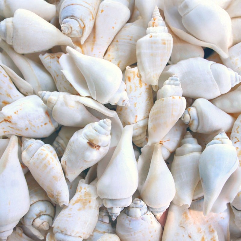 White chulla (kg)