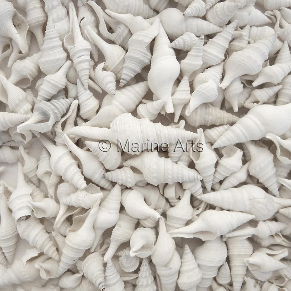 Turris white (kg)