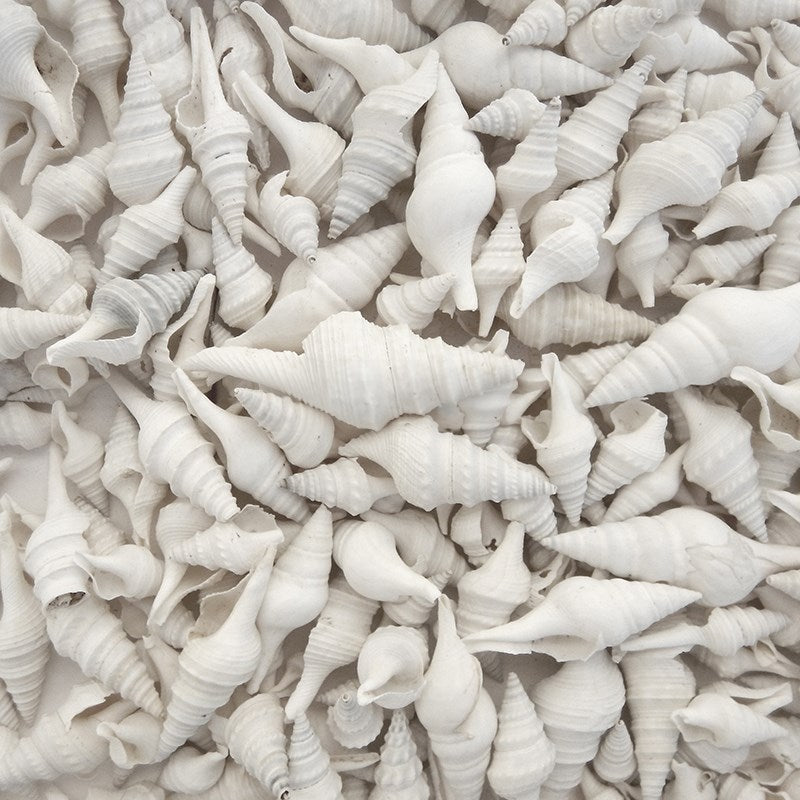 Turris white (kg)