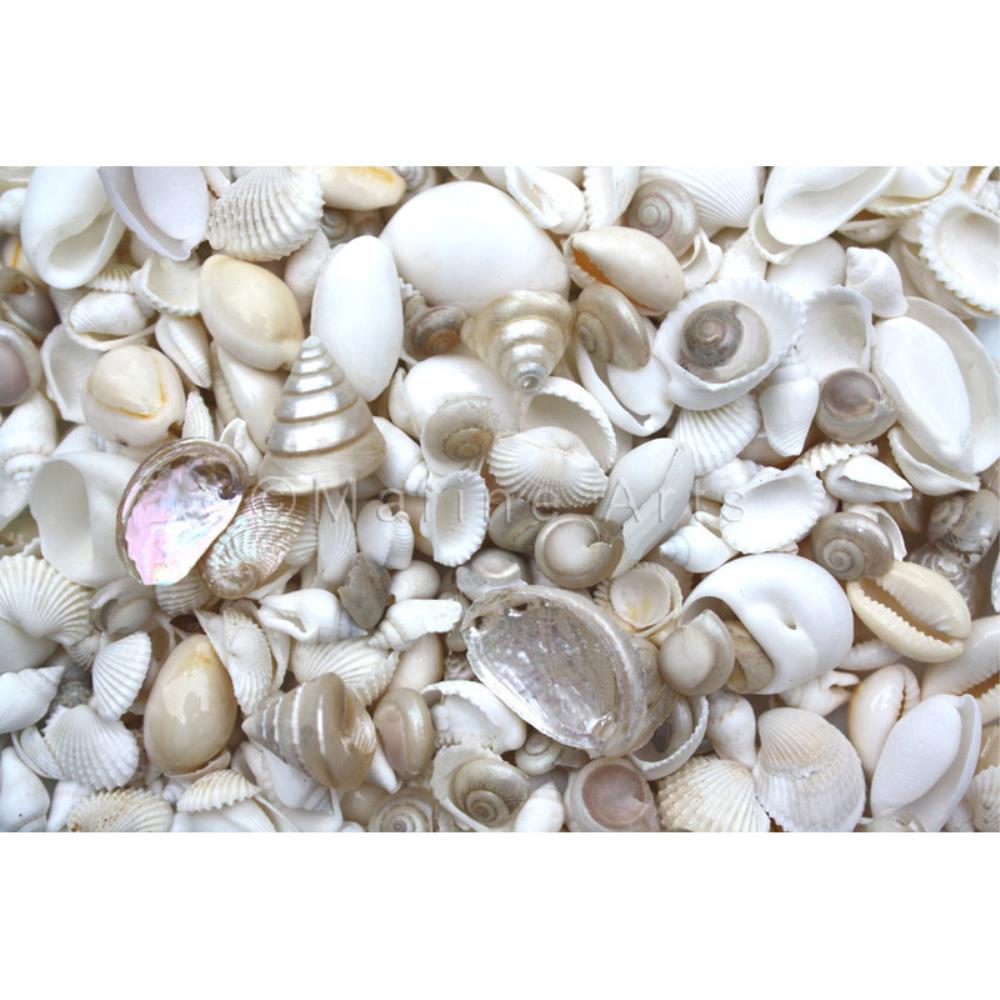 Premium shell mix white and pearl small (kg)