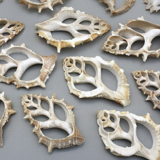 Bursa rana centre cut