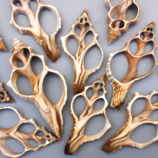 Trapezium centre cut