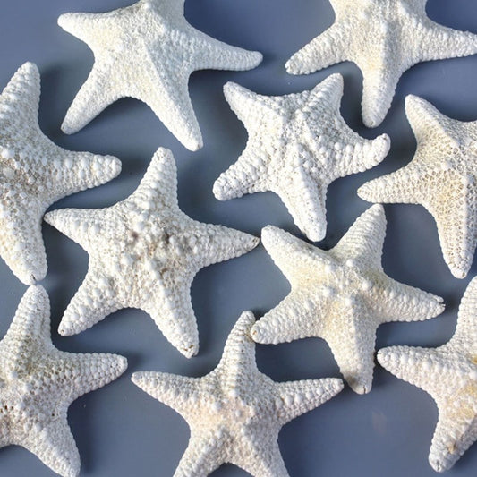 Starfish jungle white