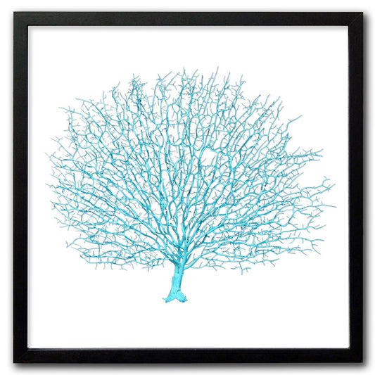 Frame black - no mat - artificial aqua seafan on white