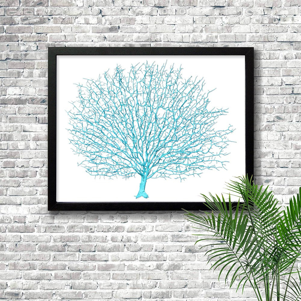 Frame black - no mat - artificial aqua seafan on white