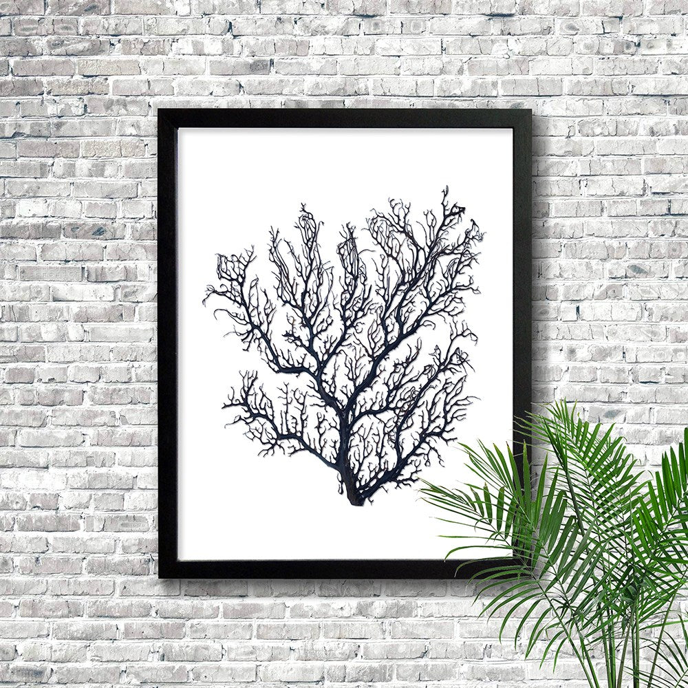 Frame black - no mat - thick black seafan on white