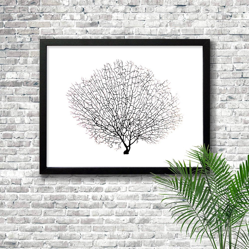 Frame black - no mat - seafan black on white