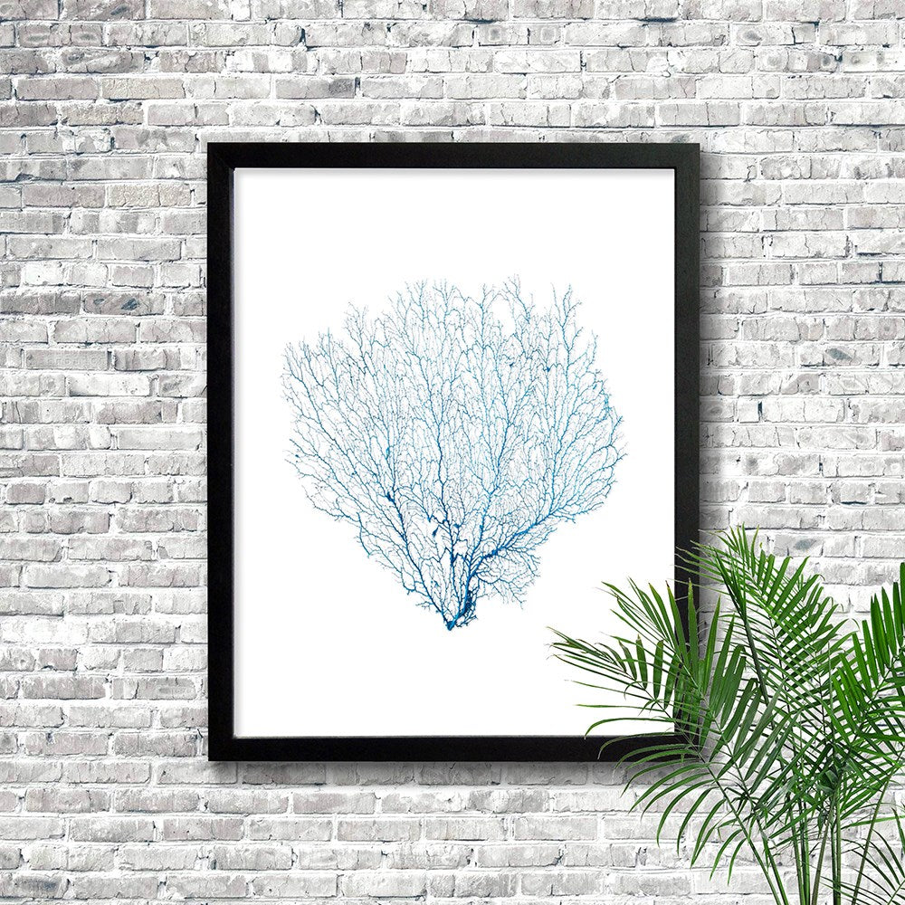 Frame black - no mat - blue seafan on white