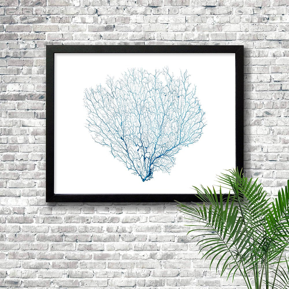 Frame black - no mat - blue seafan on white