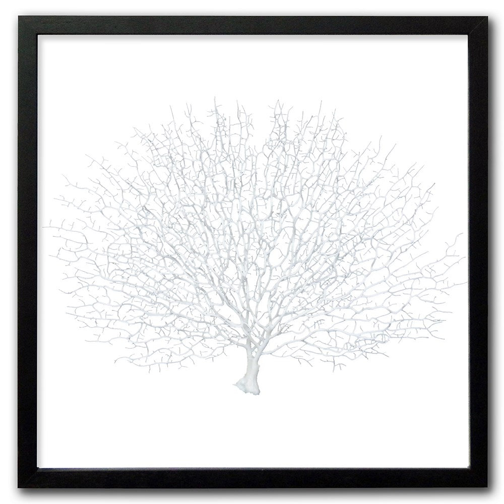 Frame black - no mat - artificial white seafan on white