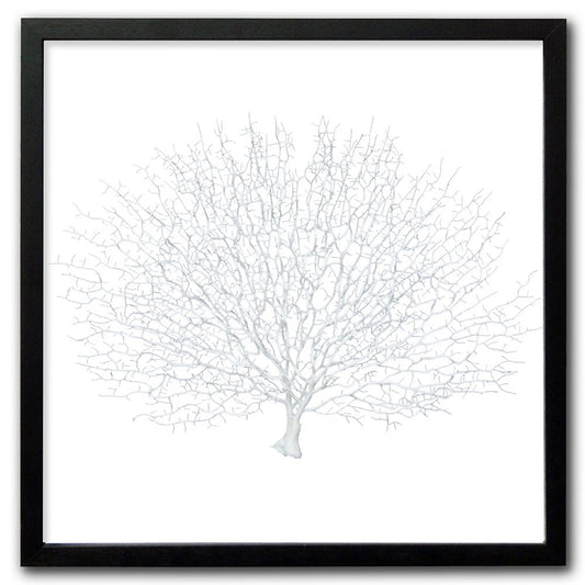 Frame black - no mat - artificial white seafan on white