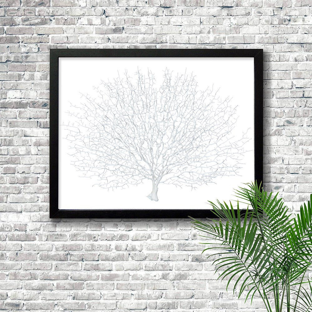 Frame black - no mat - artificial white seafan on white