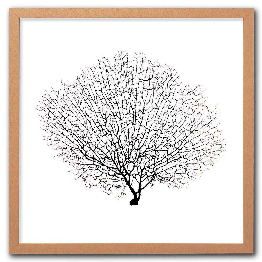 Frame limewhite - no mat - black seafan on white