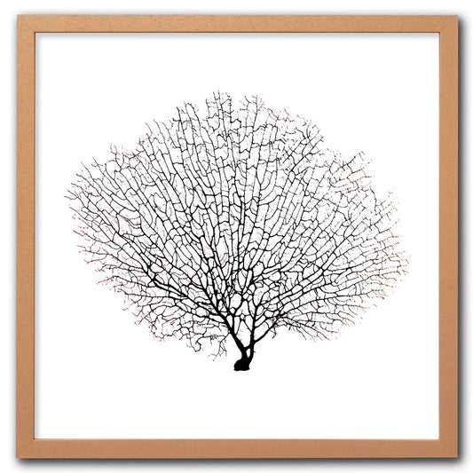 Frame limewhite - no mat - black seafan on white