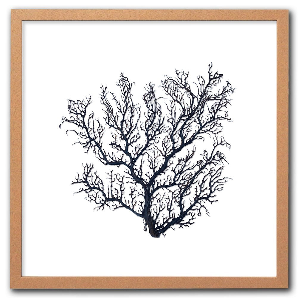 Frame limewhite - no mat - thick black seafan on white