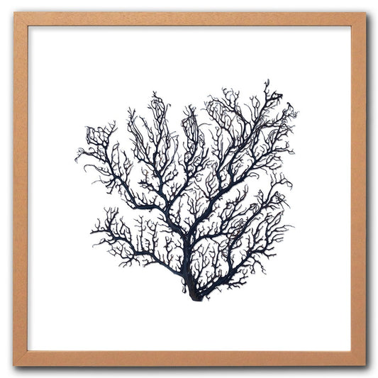 Frame limewhite - no mat - thick black seafan on white