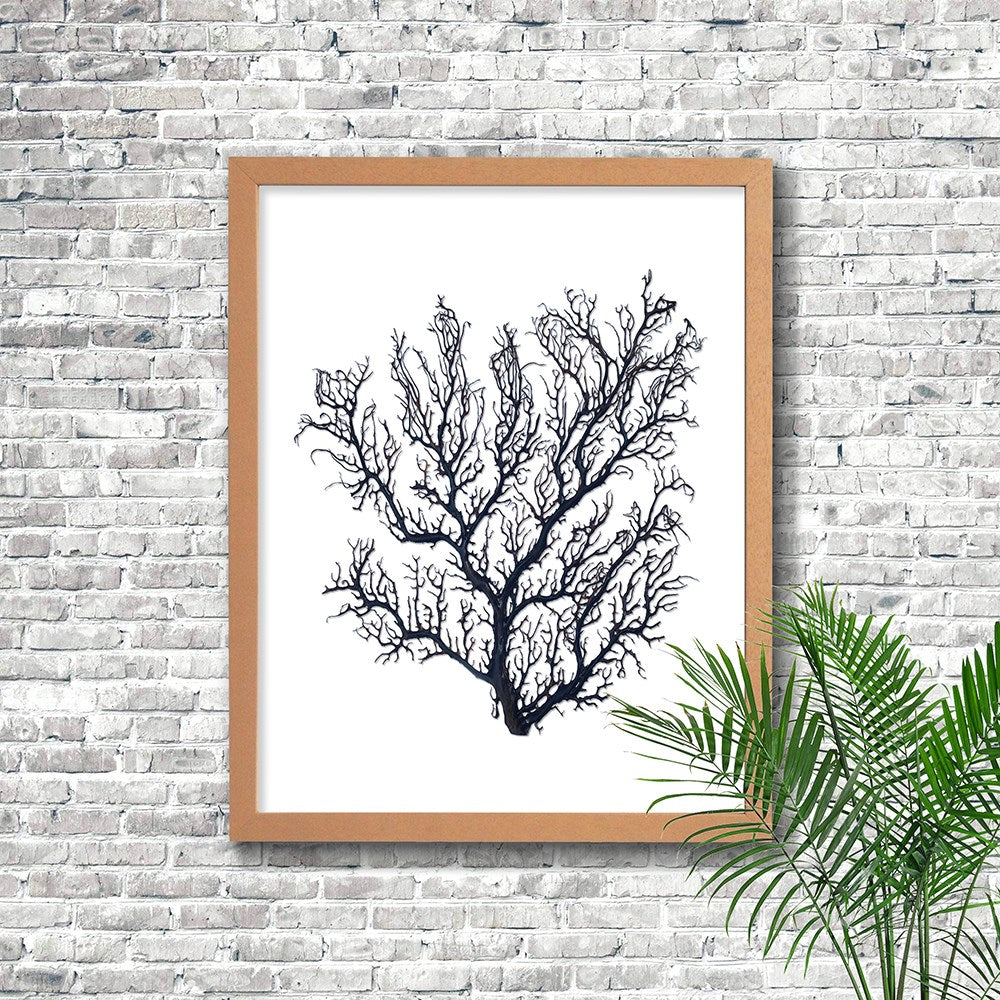 Frame limewhite - no mat - thick black seafan on white