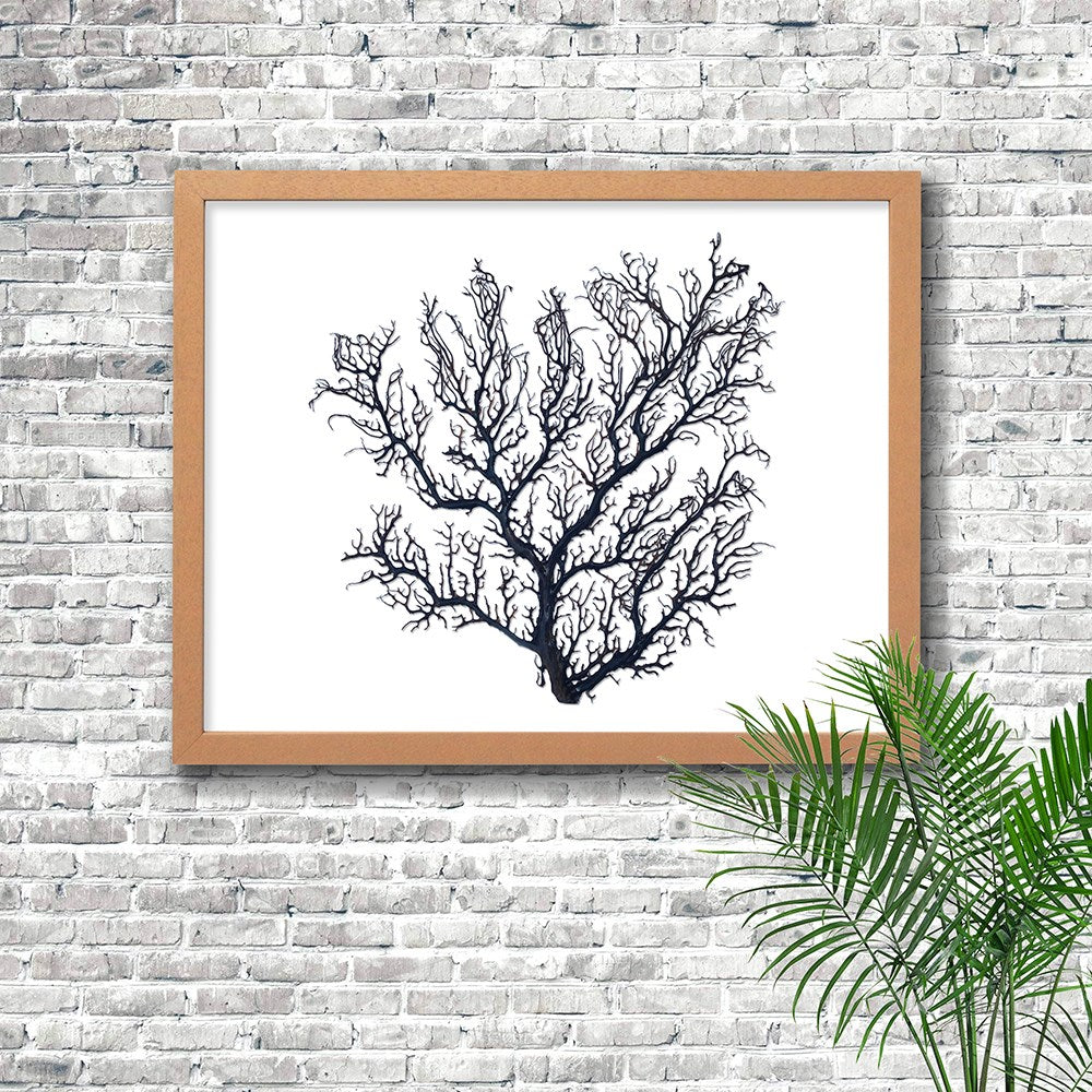 Frame limewhite - no mat - thick black seafan on white