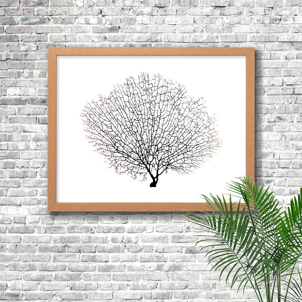 Frame limewhite - no mat - black seafan on white